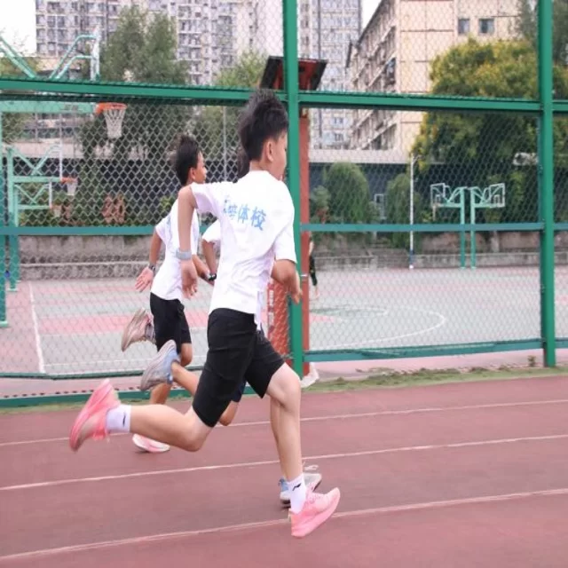 足球杯赛焦点对决:第218组阵容深度解读